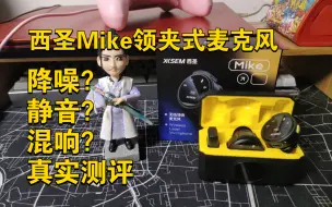 Download Video: 西圣Mike领夹式麦克风。降噪？静音？混响？真实测评。