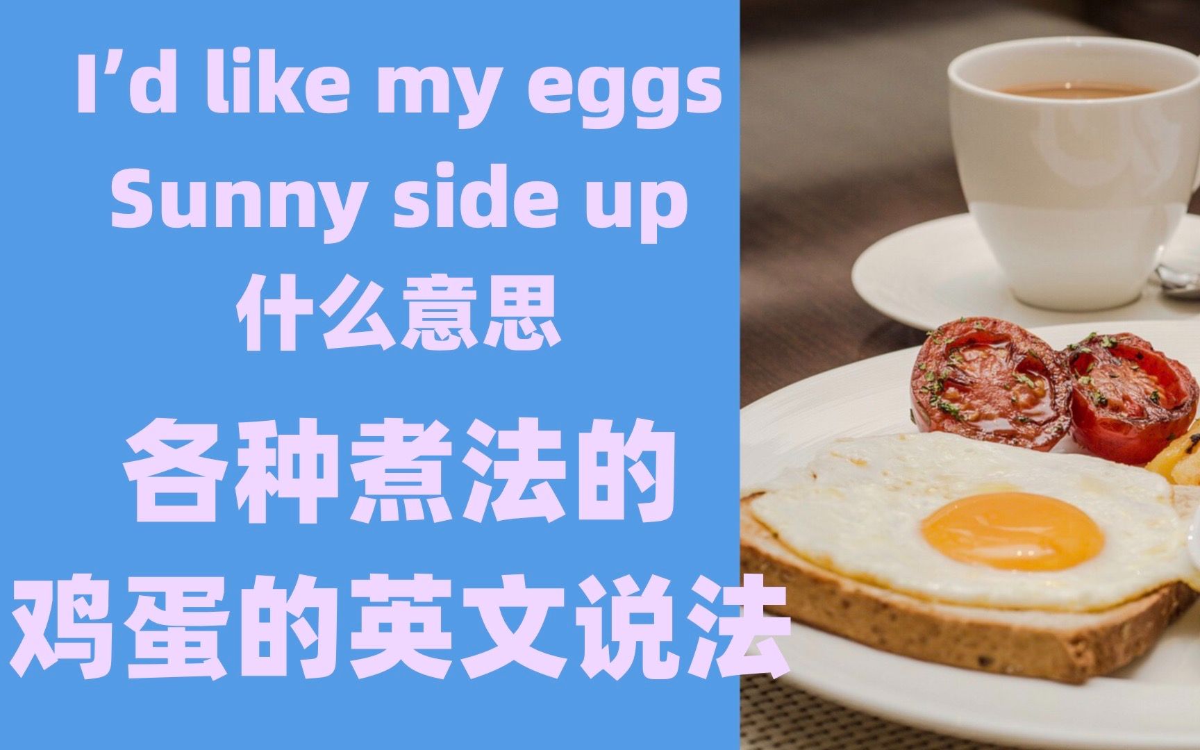 鸡蛋的英语怎么写图片