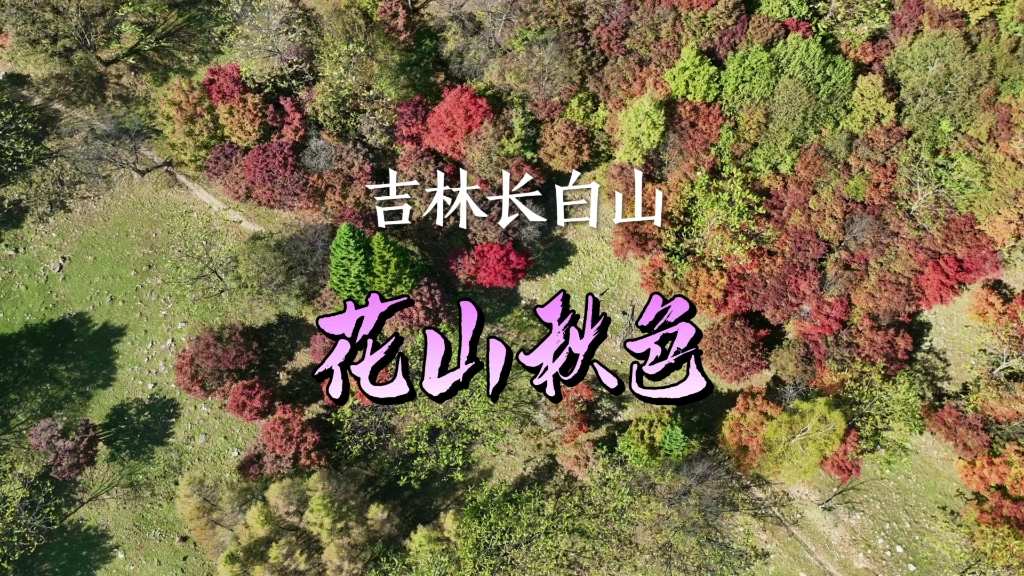 吉林临江市,花山镇溪谷秋色.哔哩哔哩bilibili