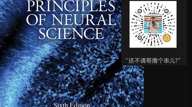 PRINCIPLES OF NEURAL SCIENCE 第3版 Principles of Neural Science Third Edition HC 1991 Kandel