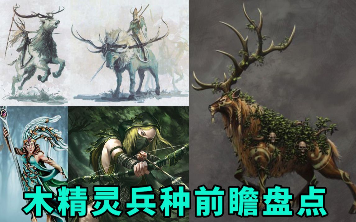 战锤背景考木精灵未来可能新兵种前瞻盘点全面战争战锤23