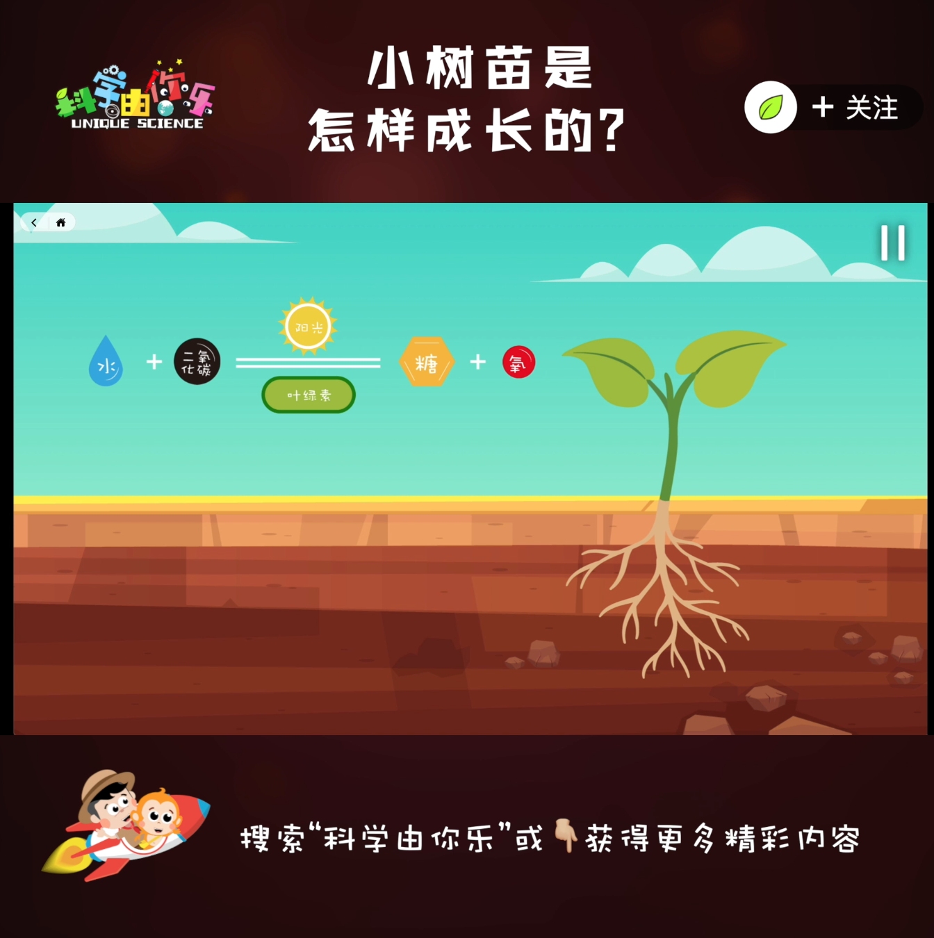 益智游戏:小树苗是怎样成长的?哔哩哔哩bilibili