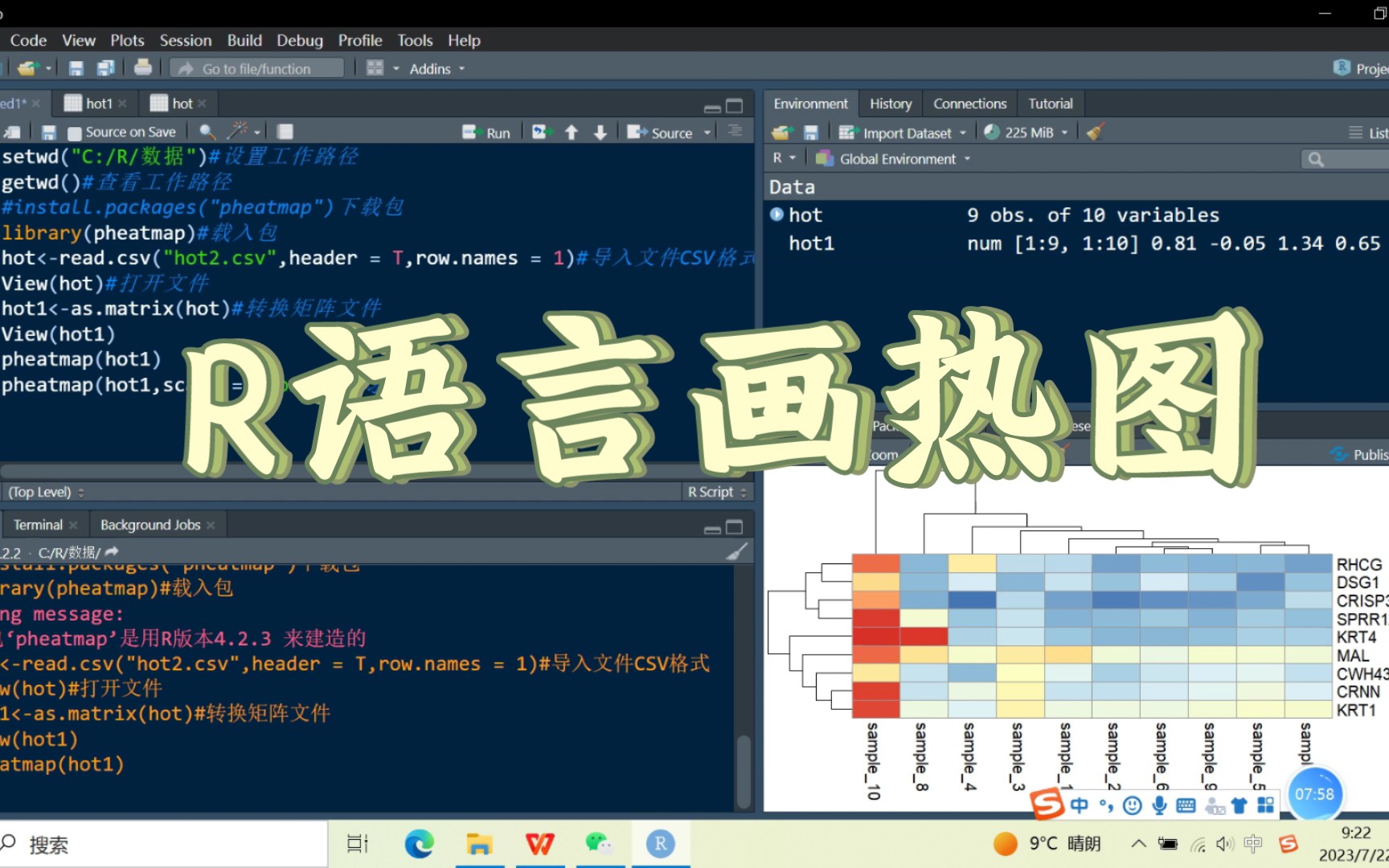 入门级!超简单!R语言画热图和常见问题哔哩哔哩bilibili