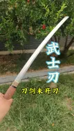 Download Video: 素影武士刃，刀剑未开刃