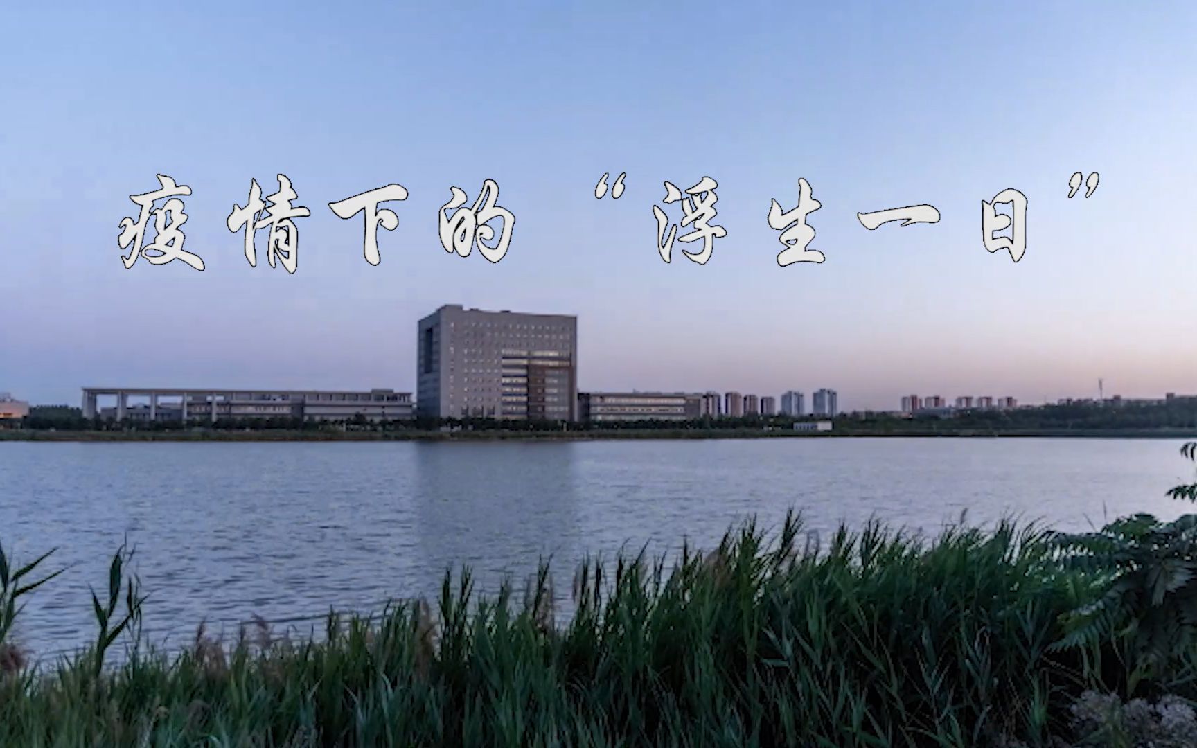 电编--疫情下的"浮生一日"