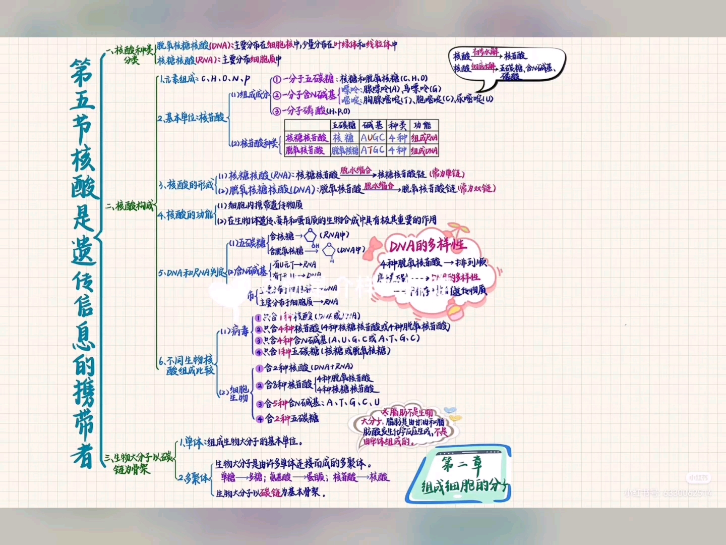 新版教材生物必修一第五节核酸是遗传信息的携带者笔记