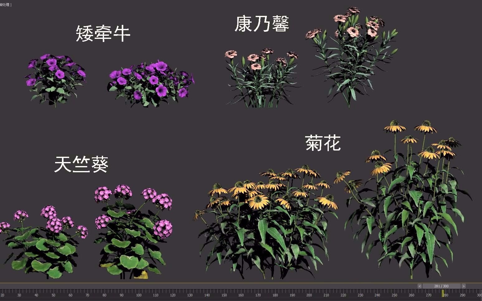 公园花境植物花类灌木随风摆动哔哩哔哩bilibili