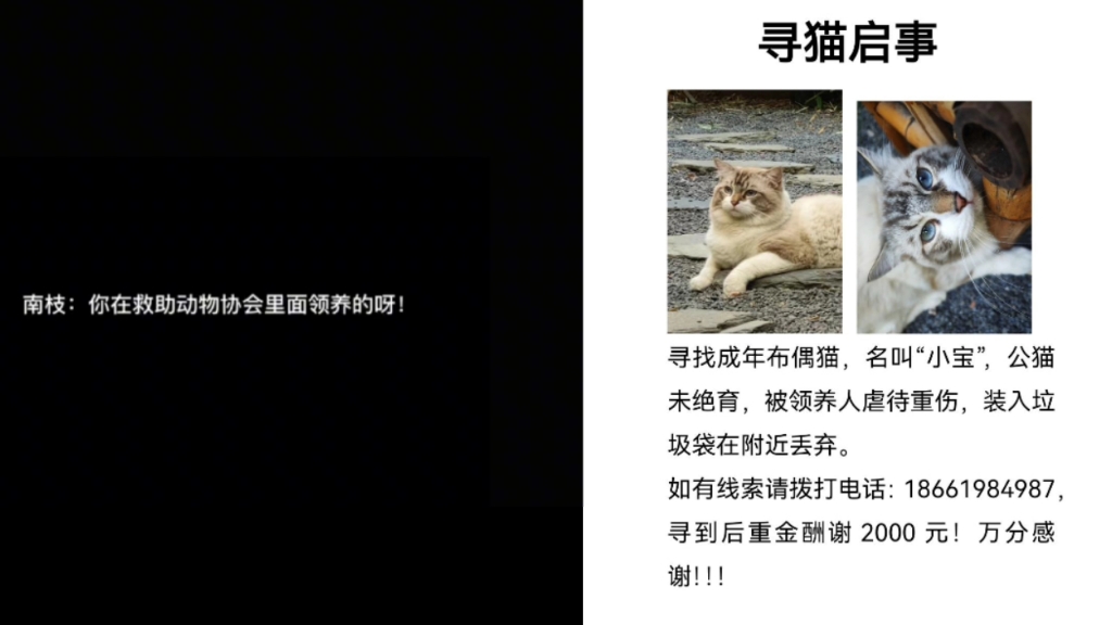 南枝小馆虐猫事件后续,警察上门处理哔哩哔哩bilibili