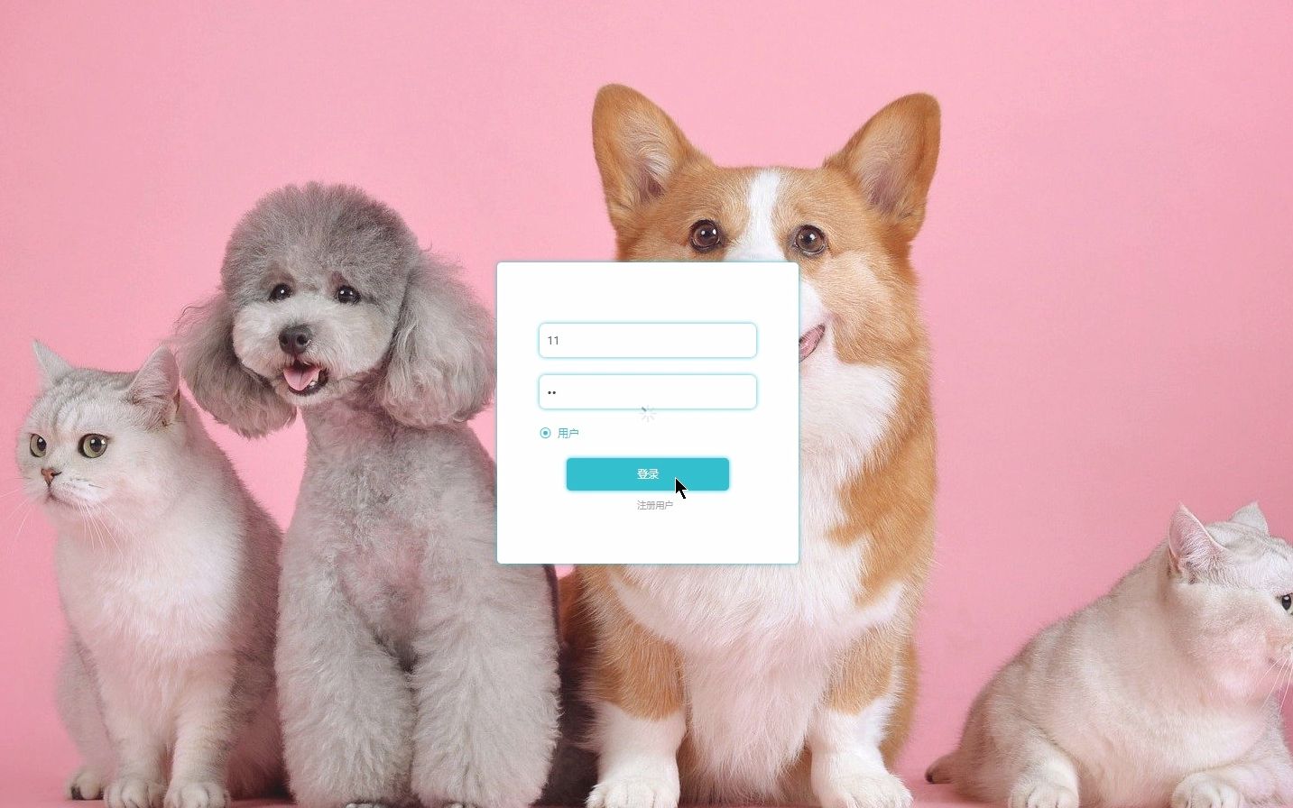 基于java web宠物店系统网站的设计与实现ssm vue mysql|计算机毕业
