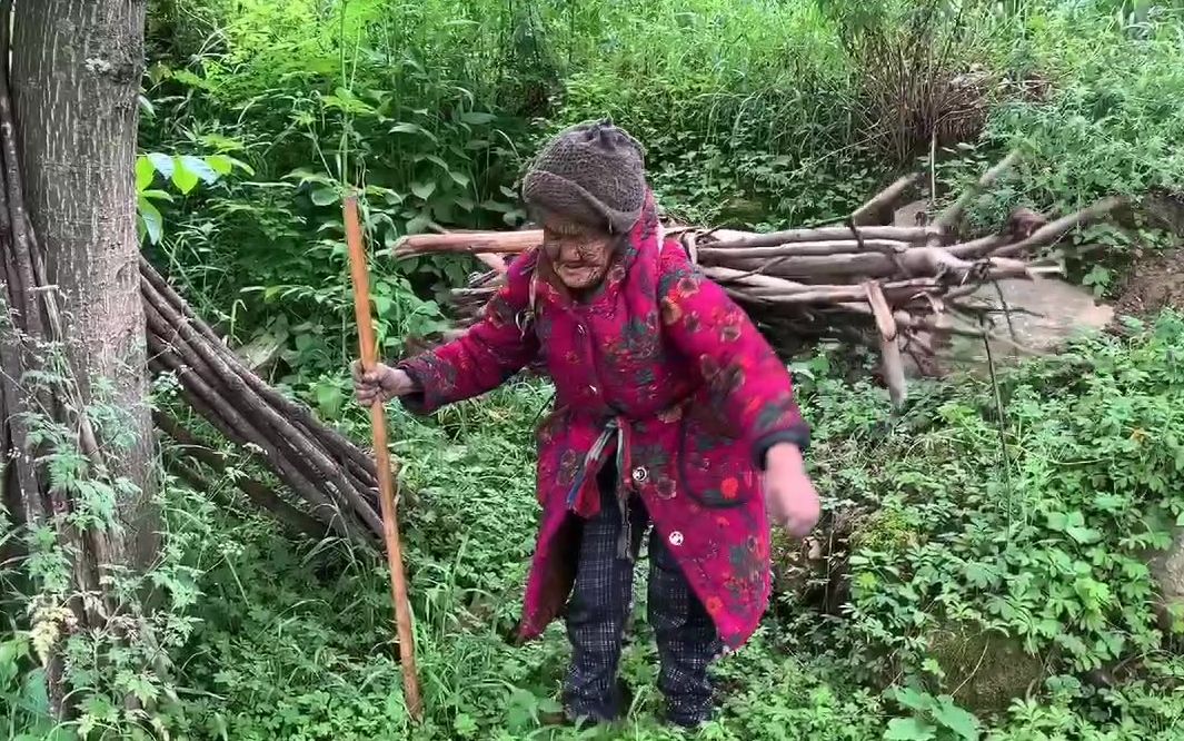 山区86岁老奶奶没人管,拄着拐杖去背柴,自称活着没意思令人心酸