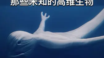 你遇到过高维生物么？