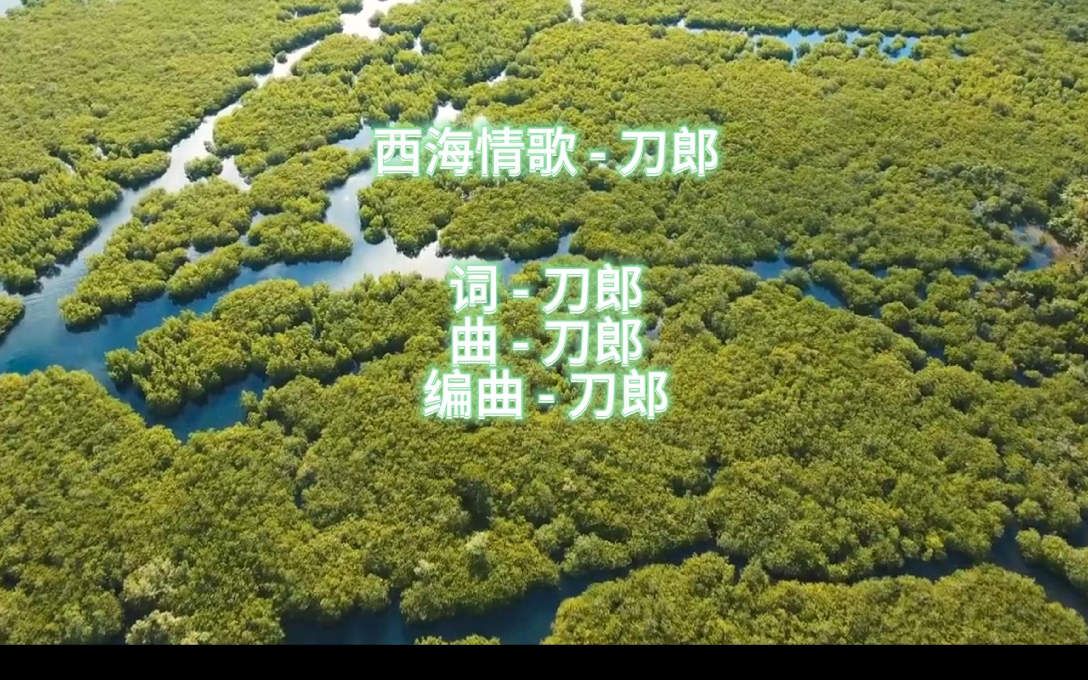 西海情歌刀郎哔哩哔哩bilibili