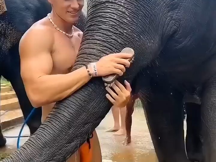 饲养员的一天|肌肉男|自律|长期主义