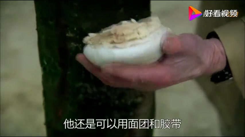 我知道这个可以炸 但是没想到做成饼还能炸哔哩哔哩bilibili