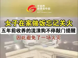 女子在家做饭忘记关火，五年前收养的流浪狗不停敲门提醒，因此避免了一场火灾。