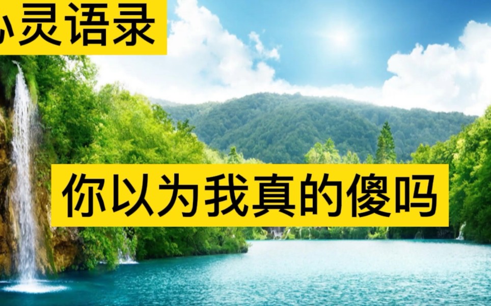 心灵语录《你以为我真的傻吗》_哔哩哔哩_bilibili