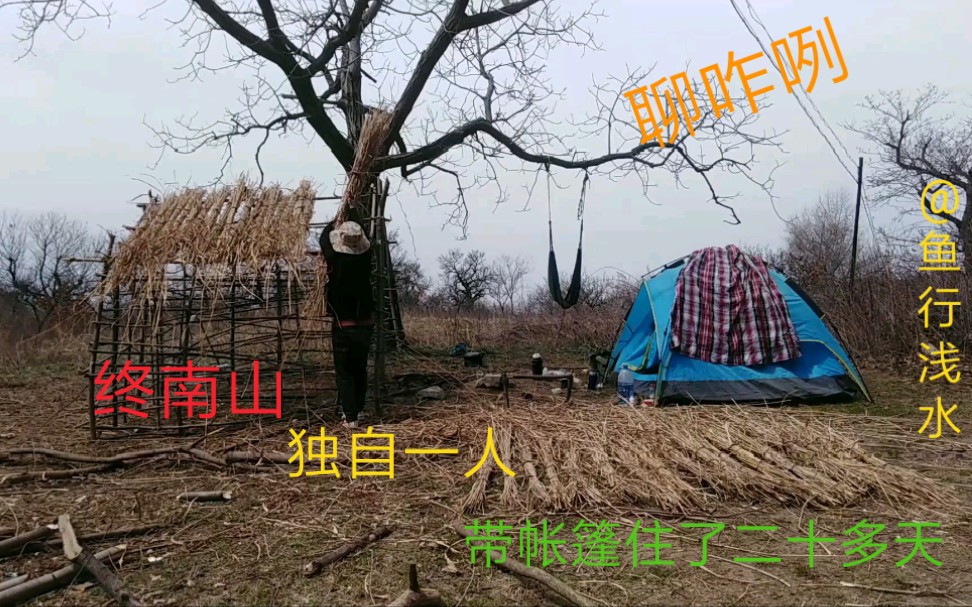 [图]终南山独自一人带帐篷住了二十多天