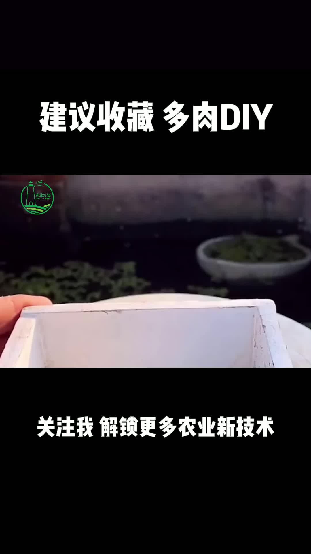 【农业】DIY多肉植物微景观哔哩哔哩bilibili