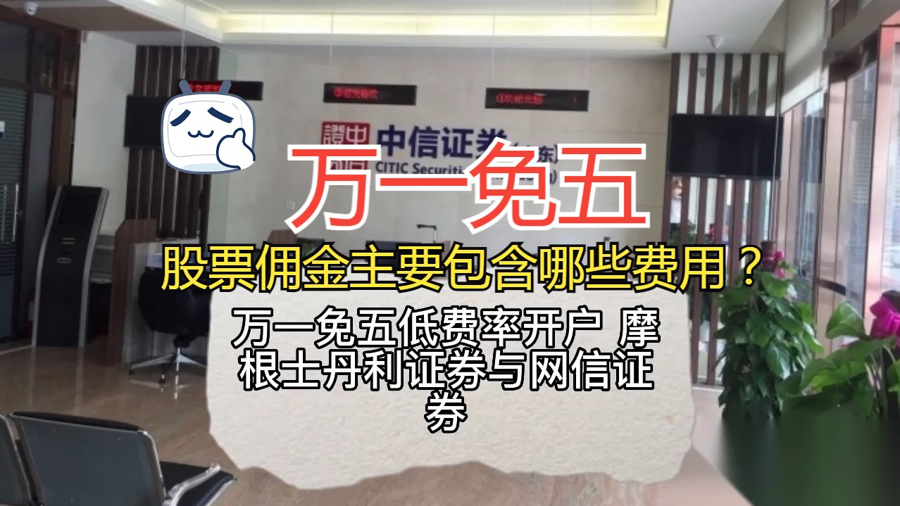 股票佣金主要包含哪些费用?万一免五低费率开户,摩根士丹利证券与网信证券哪家客户经理服务更好?哔哩哔哩bilibili