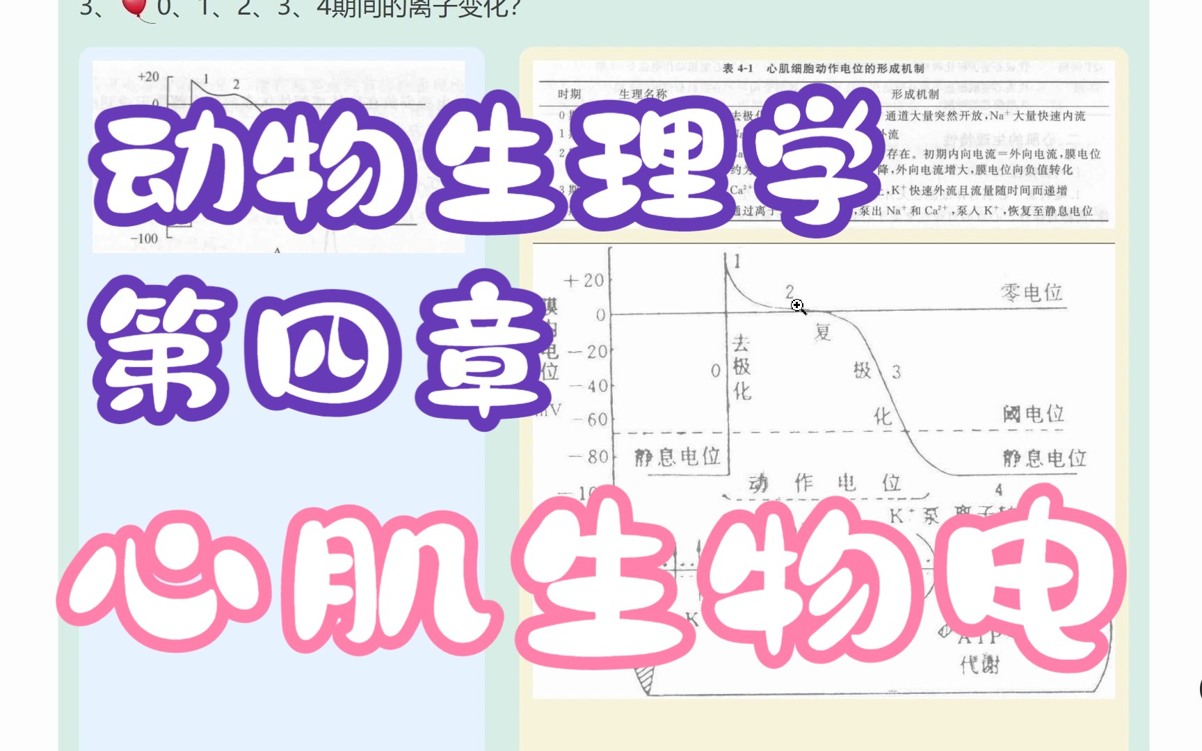 [图]415动物生理学-4.1.3心肌细胞的生物电现象