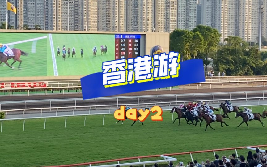 香港游4天3晚day2 买马初体验哔哩哔哩bilibili