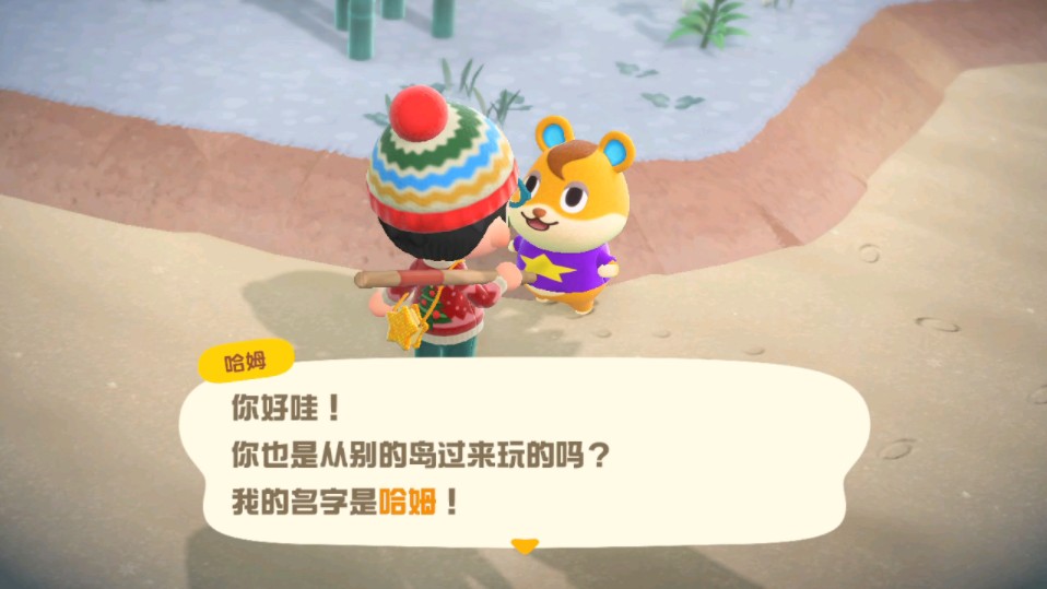 【动物森友会】岛民盲盒之"哈姆"~发型很别致的小仓鼠!