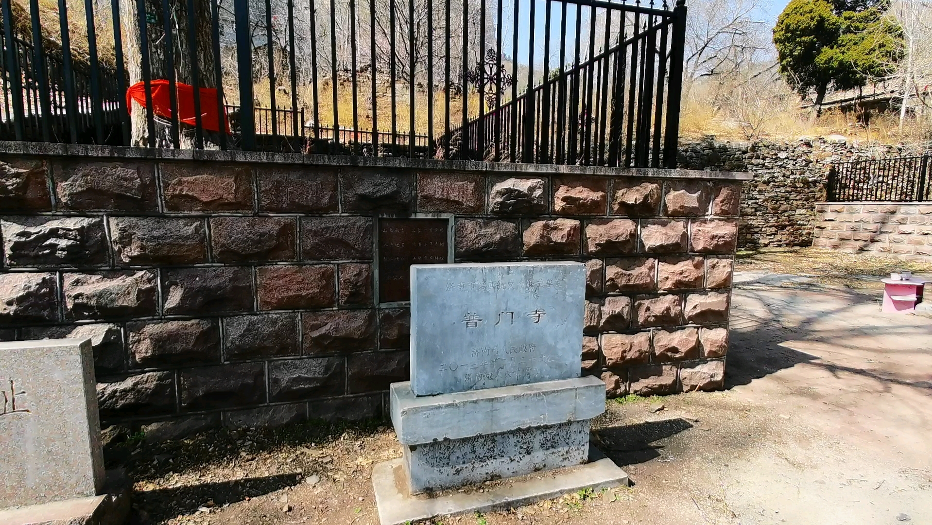 山东济南 南部山区 普门寺遗址 触摸400岁银杏