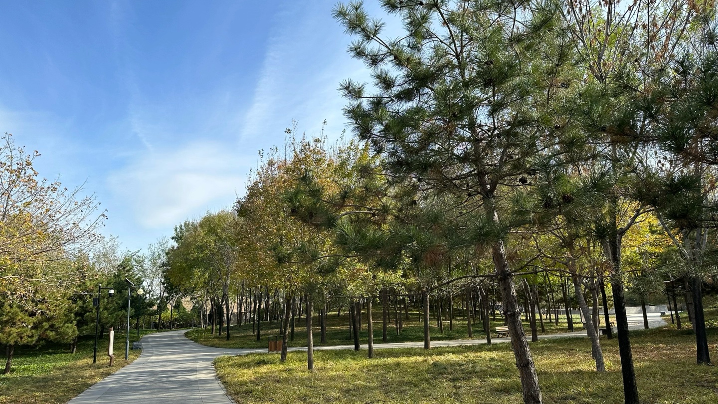 船营公园 晚秋雅韵