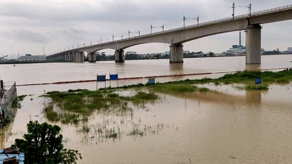 广州连续遭大暴雨袭击,实拍增城新塘现状,画面不敢想象!哔哩哔哩bilibili