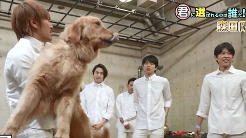 V6 Beautiful World 哔哩哔哩 Bilibili