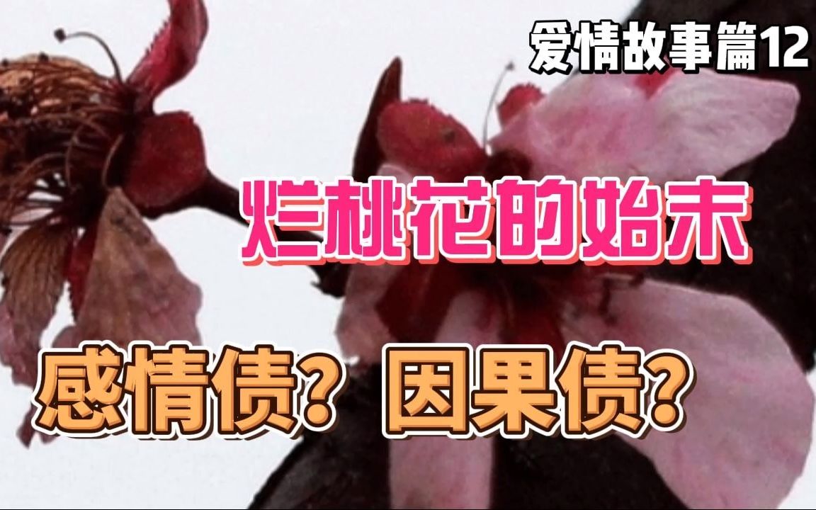 爱情故事篇12-烂桃花的始末?感情债!