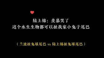 Descargar video: 「人鱼陷落」陆上锦：谁懂啊，真的很羡慕～