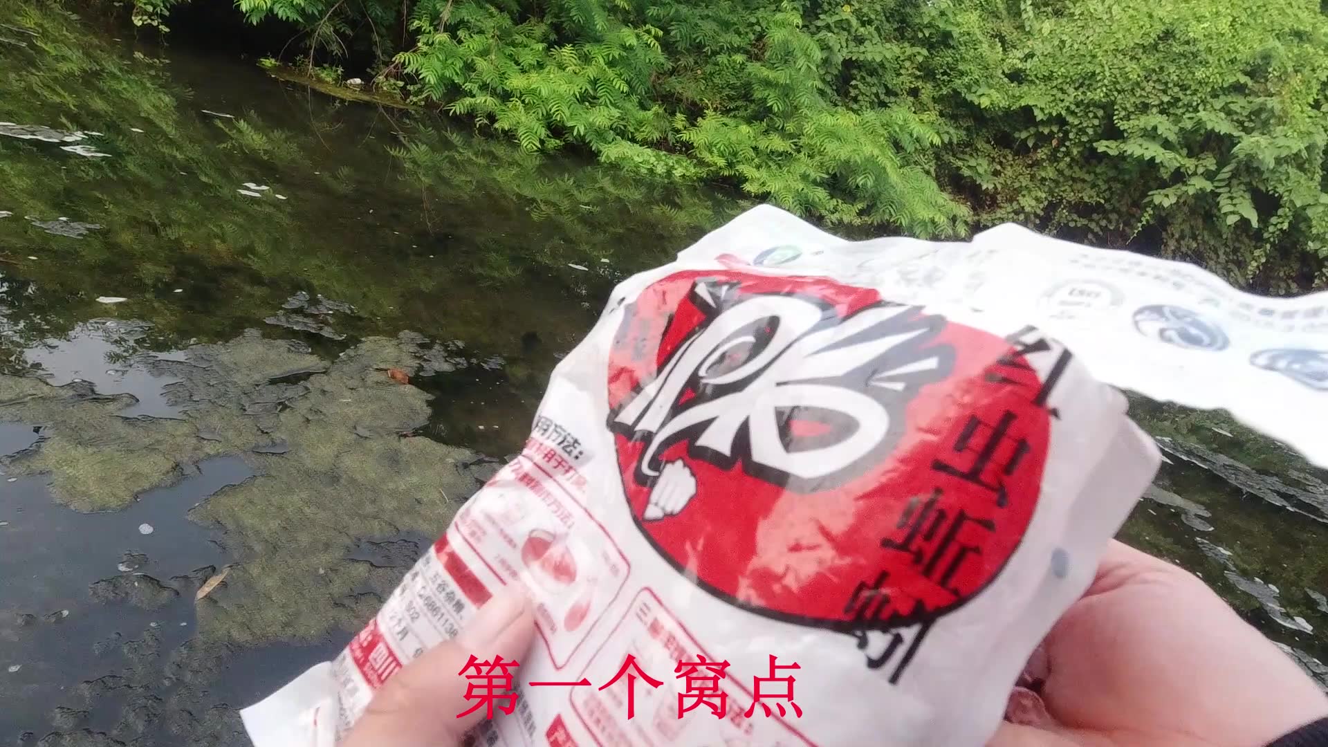 这里的马口太疯狂了,饵料丢下去就追着咬,忙的喝水的时间都没有;还有一条小萌蛇,真想捉来玩一下(童牧谷溪流钓)哔哩哔哩bilibili