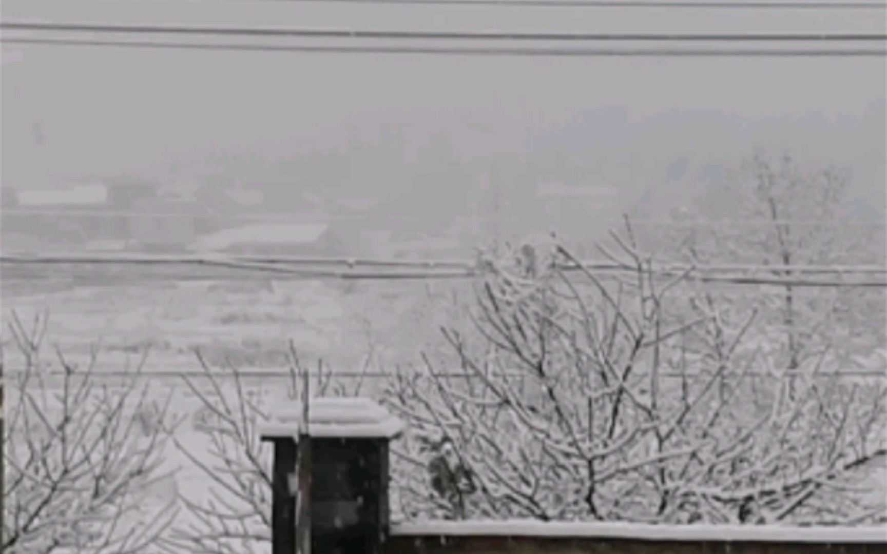 [图]沉浸式赏雪——2022江南山村第一场雪