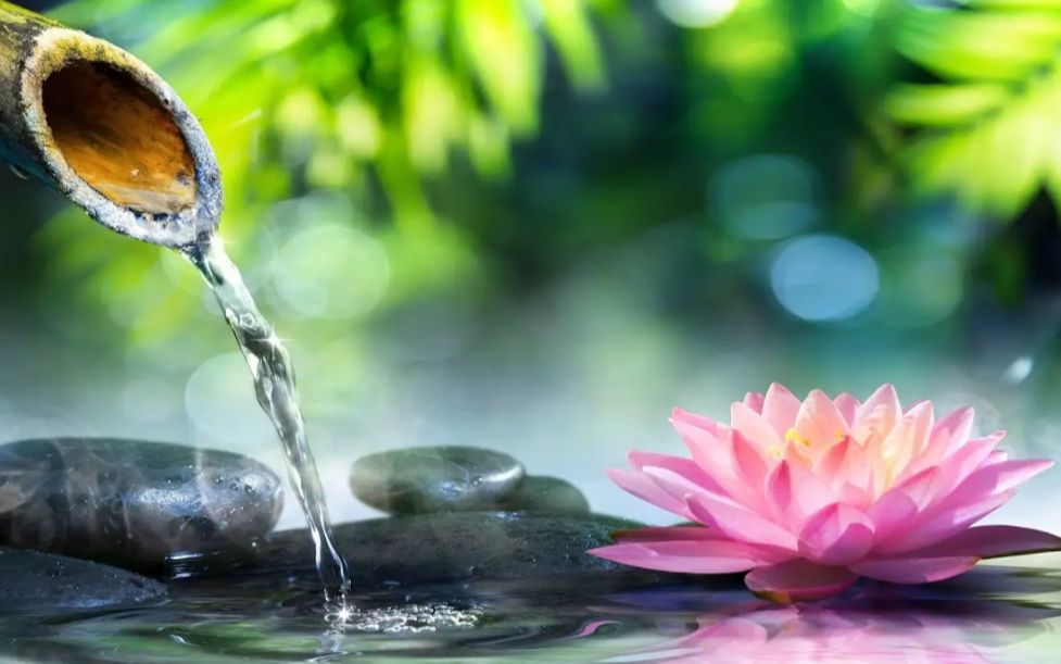 柯佩磊《珍惜》