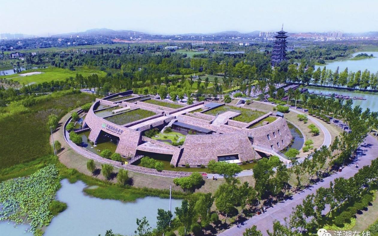 洋湖湿地科普馆鱼池介绍日常