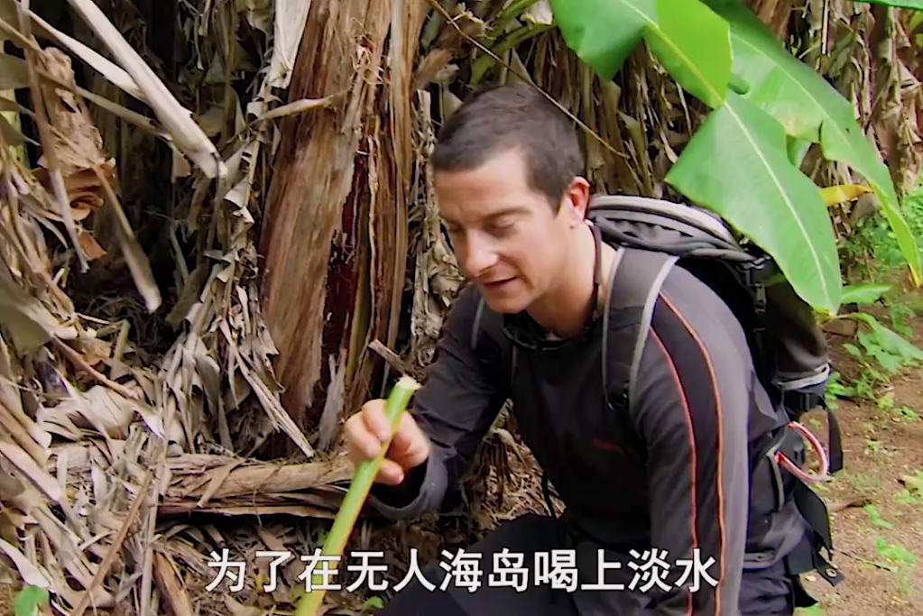 贝爷荒野求生能吃什么