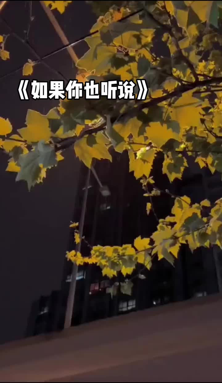 如果你也听说会不会相信我如果你也听说翻唱挑战我要上热门我要流