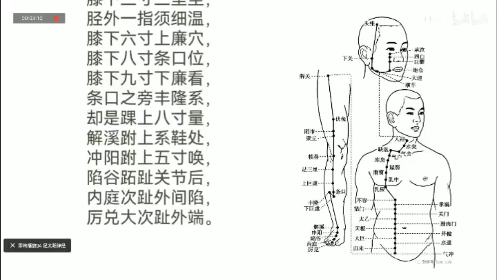 [图]中医药文化之穴位