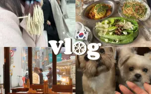 Download Video: 柚のVLOG｜和Jooky在韩国见面啦！｜在首尔一天吃什么｜在闭店前吃到了期待7个月的草莓蛋糕！