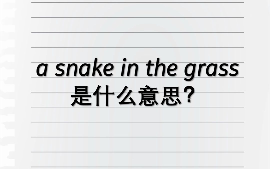 A snake in the grass是什么意思?哔哩哔哩bilibili