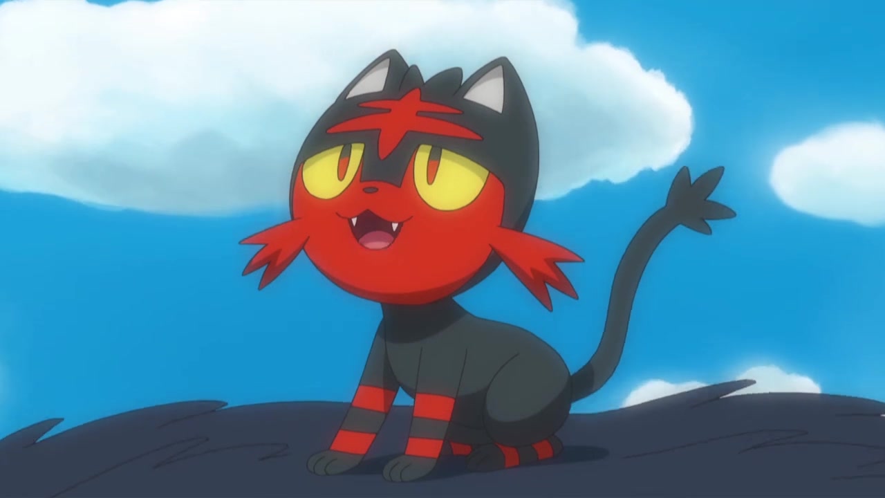 【催泪向】叙事曲——火斑喵&长毛狗