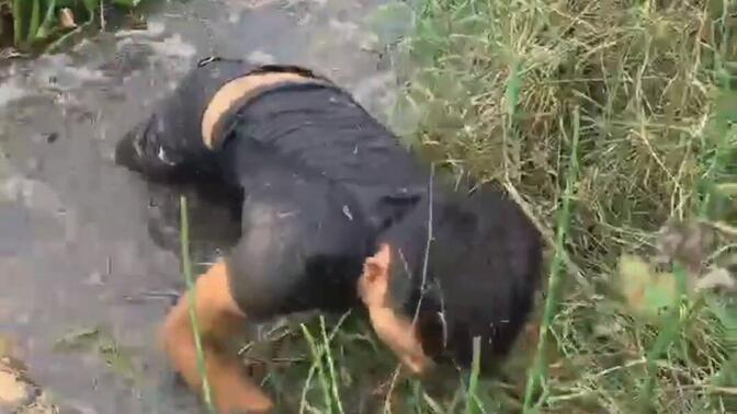 鳝家打野大娃,这抓黄鳝的技术,真心厉害