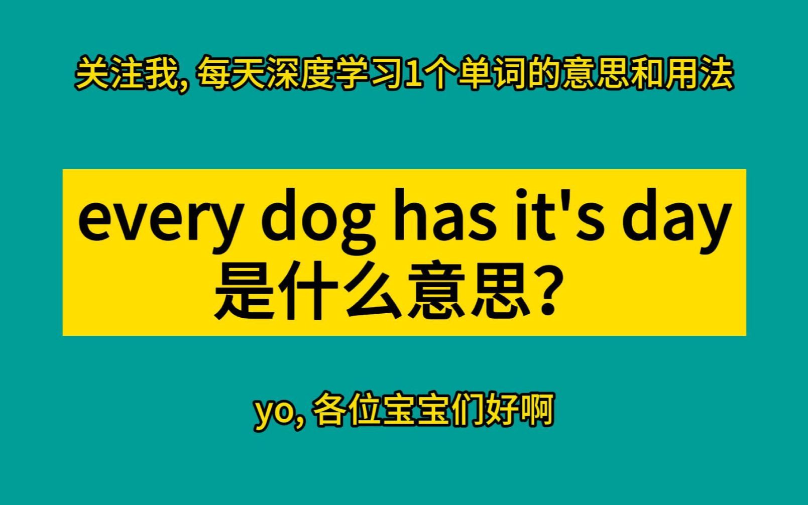 every dog has it's day 是什么意思?哔哩哔哩bilibili