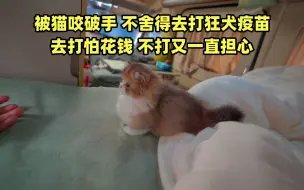 Download Video: 被猫咬破手，不舍得去打狂犬疫苗。去打怕花钱，不打又一直担心。