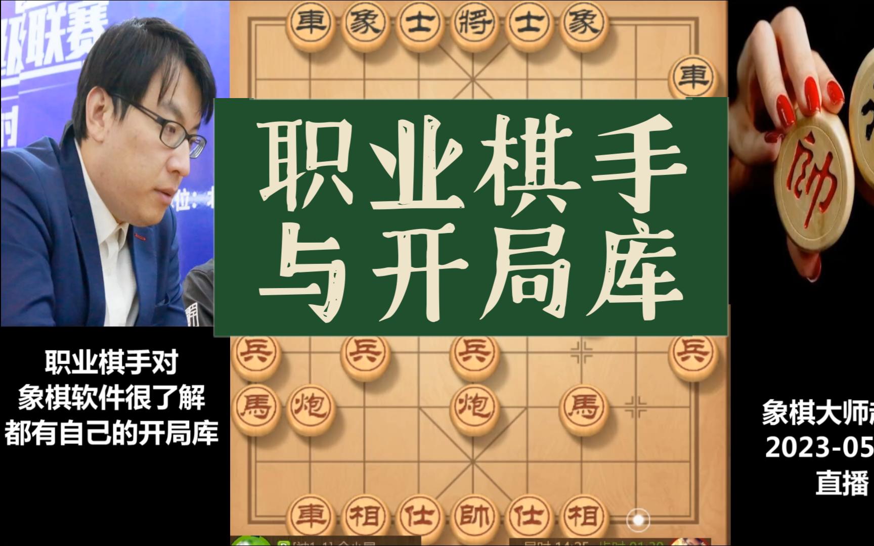 赵玮:职业棋手对象棋软件很了解,都有自己的开局库