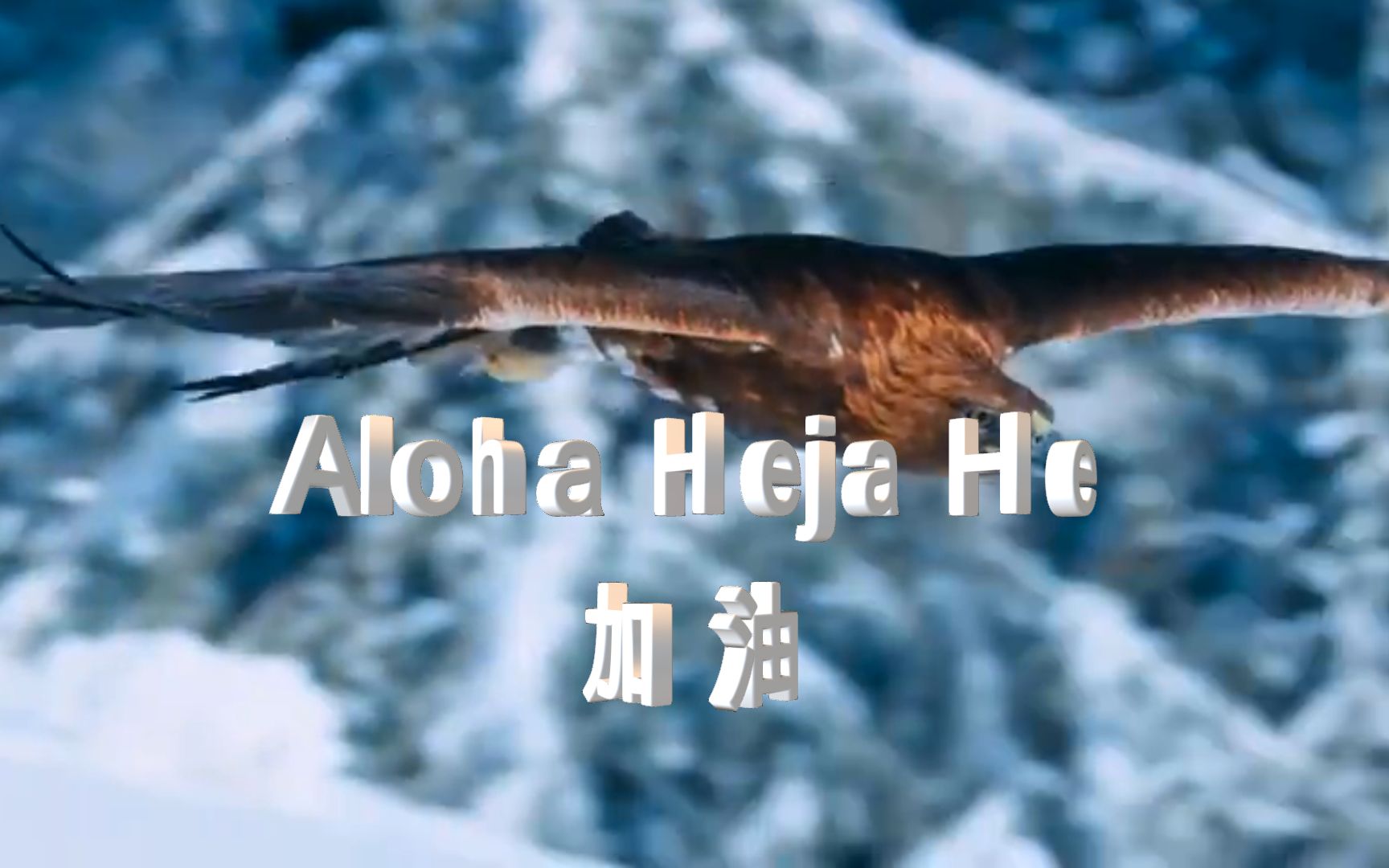 [图]风靡全球的德国金曲《Aloha Heja He -加油》（双字幕）MV