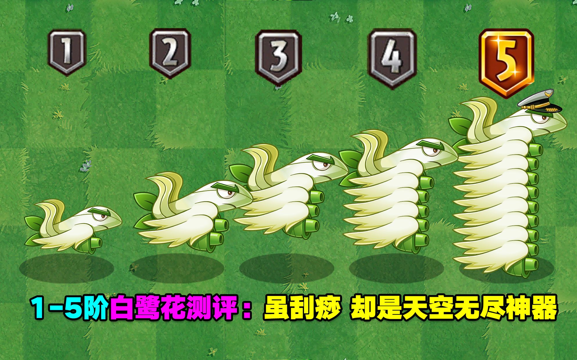 1-5阶白鹭花战机测评:1阶刮痧,5阶刮皮!