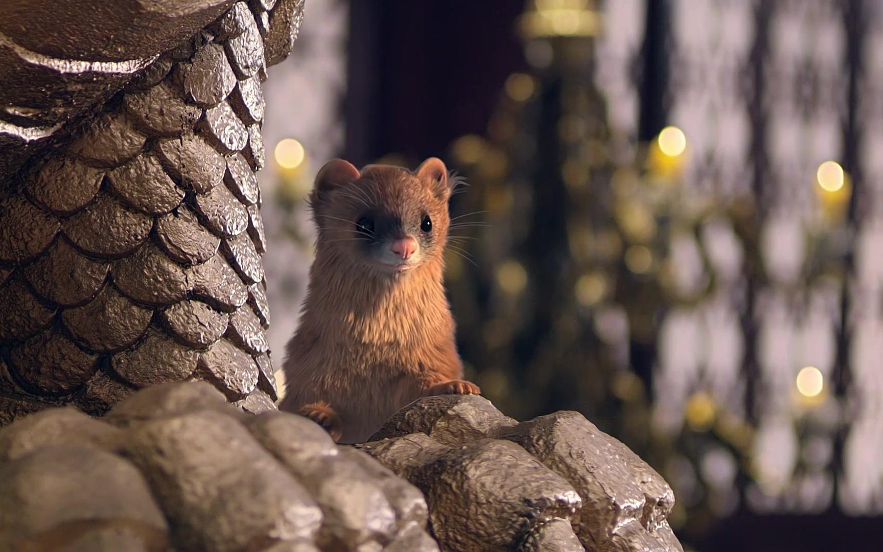 【寒风】03-3:有缘的小黄鼬_哔哩哔哩 (゜-゜)つロ 干杯~-bilibili