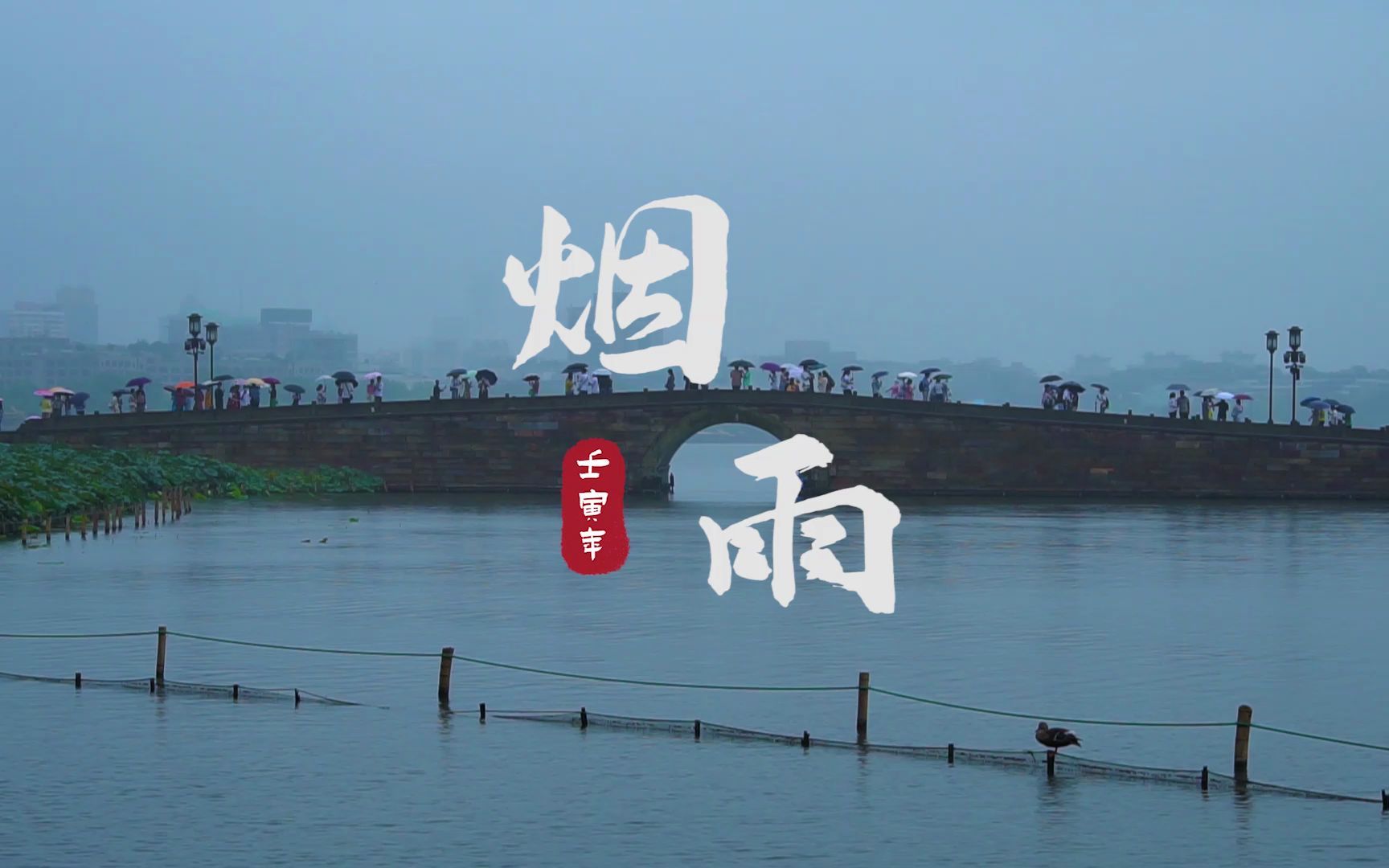 烟雨江南 | 西湖断桥萧萧雨,几缕相思几分愁?哔哩哔哩bilibili